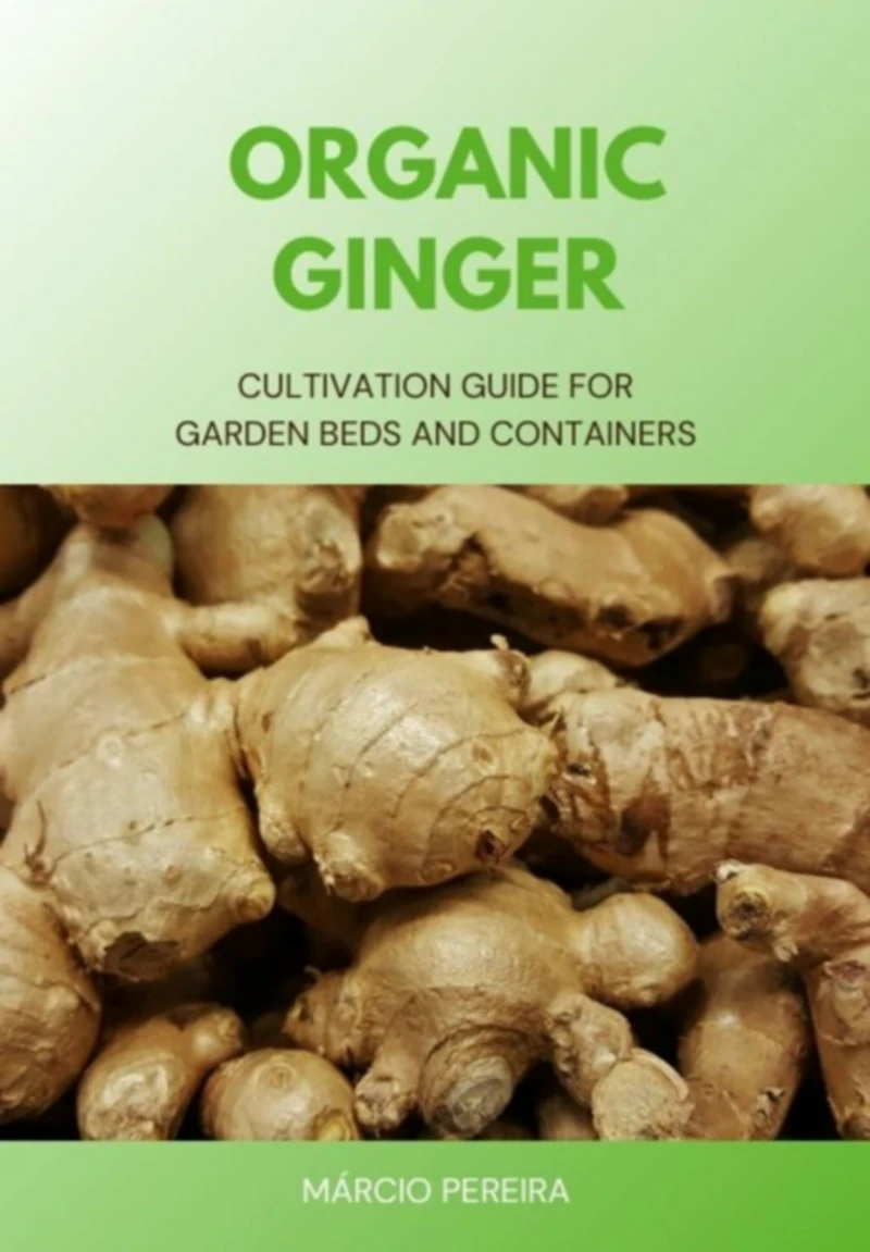 Portada: Organic Ginger