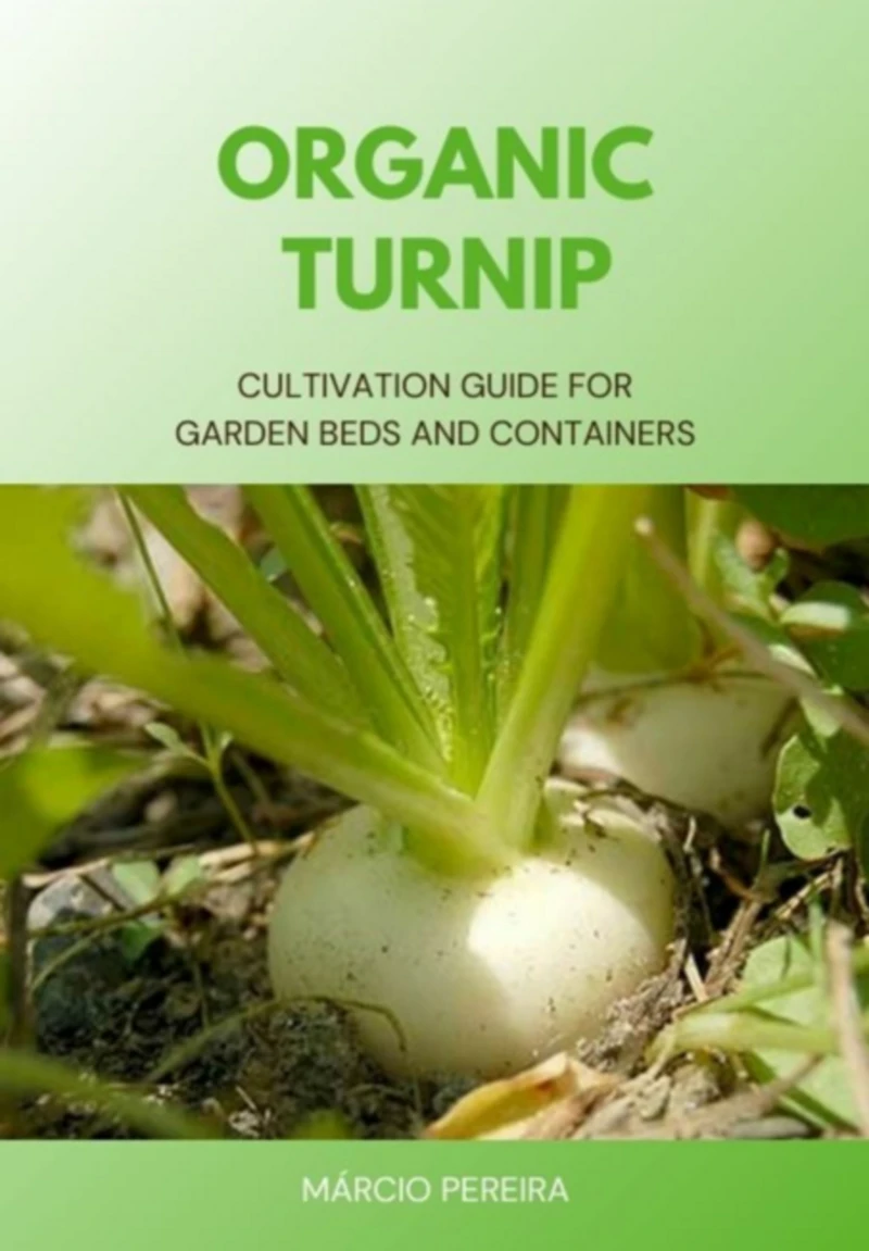 Portada: Organic Turnip