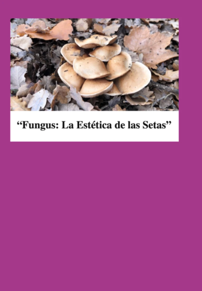 Portada: Fungus:la Estetica De Las Setas