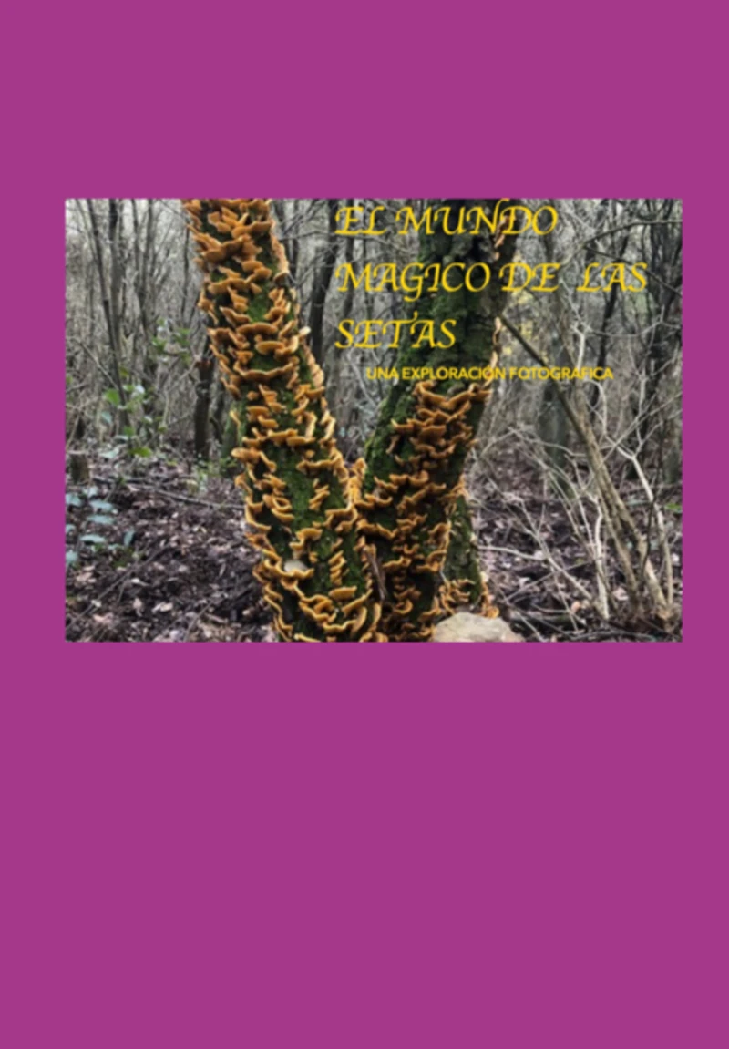 Portada: El Mundo Magico De Las Setas