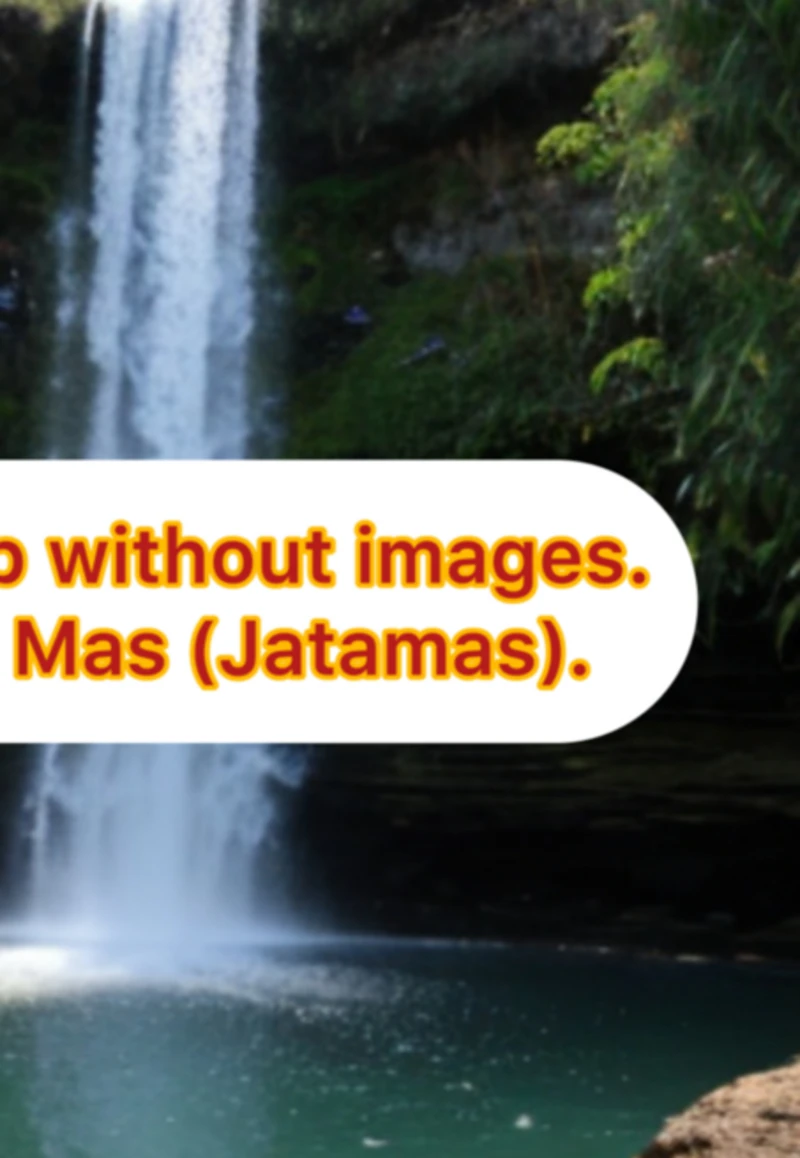 Portada: The Illustrious Mop, Without Images.