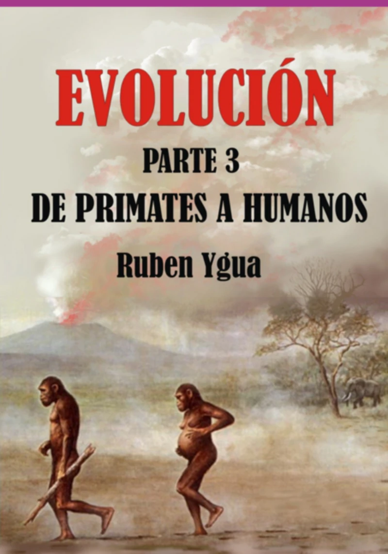 Portada: Evolución- De Primates A Humanos