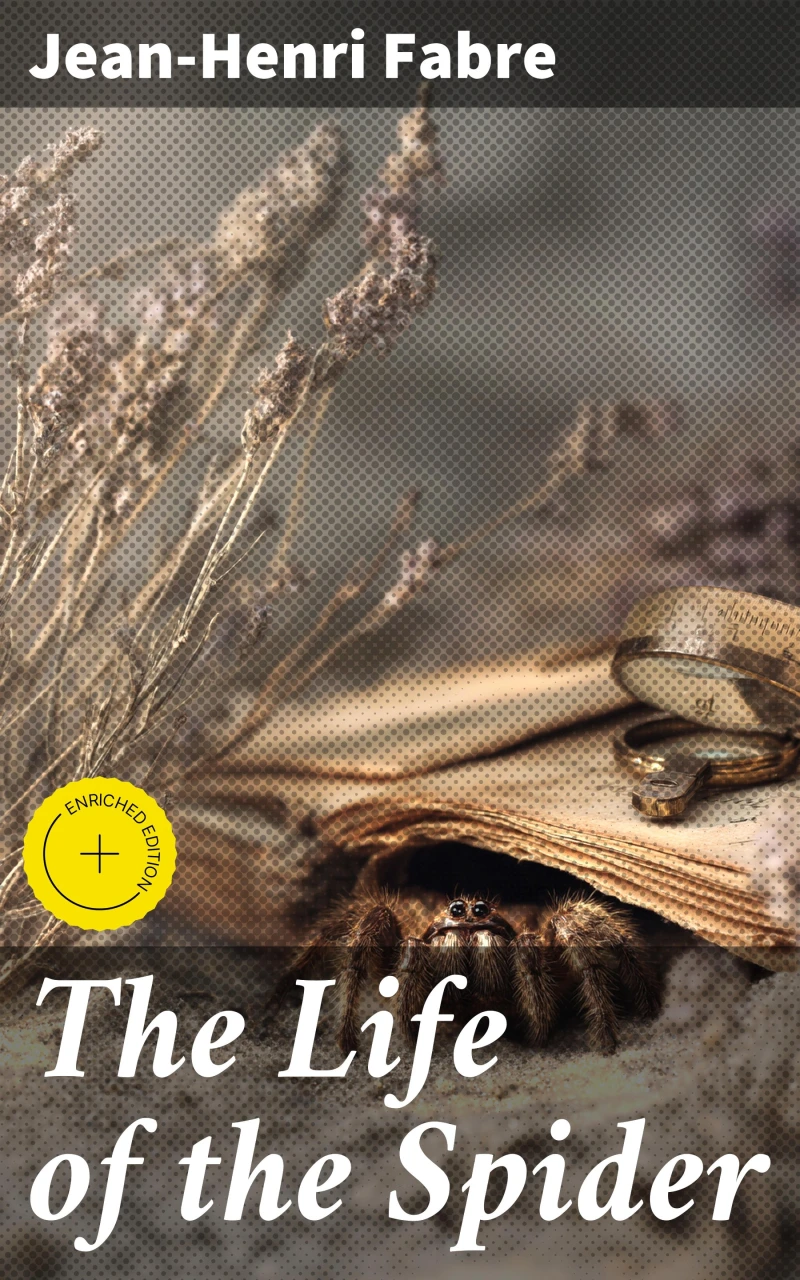 Portada: The Life of the Spider