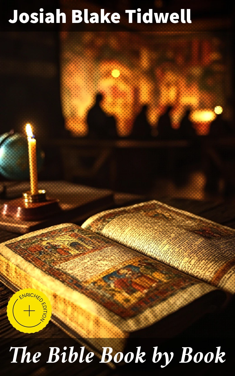 Portada: The Bible Book by Book