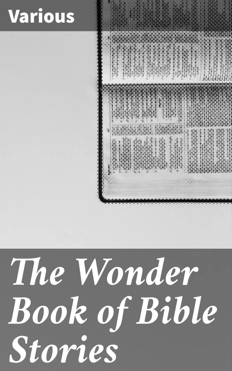 Portada: The Wonder Book of Bible Stories