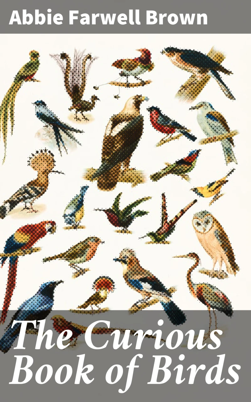 Portada: The Curious Book of Birds