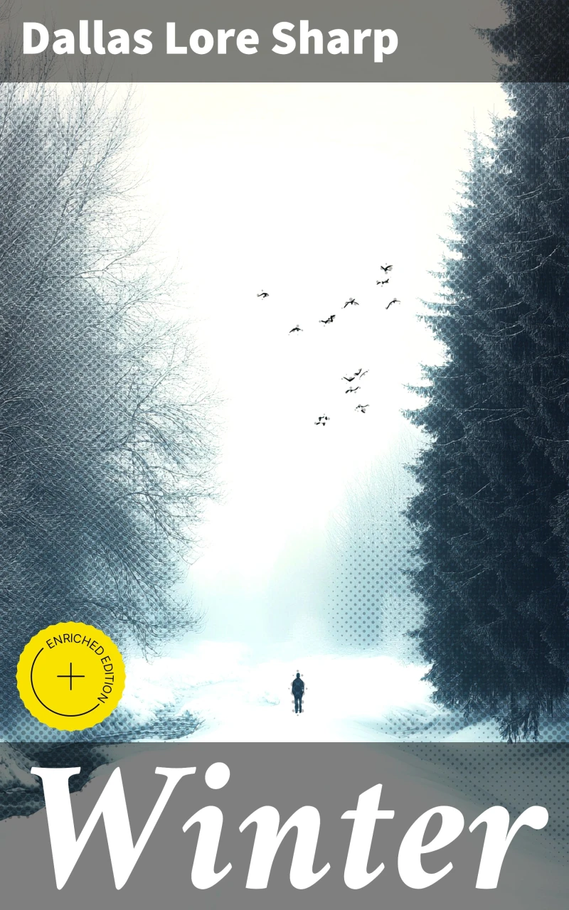 Portada: Winter