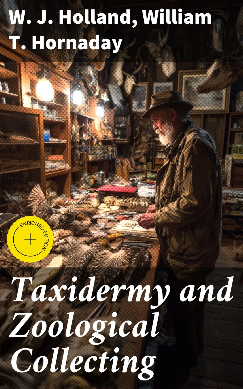 Portada: Taxidermy and Zoological Collecting