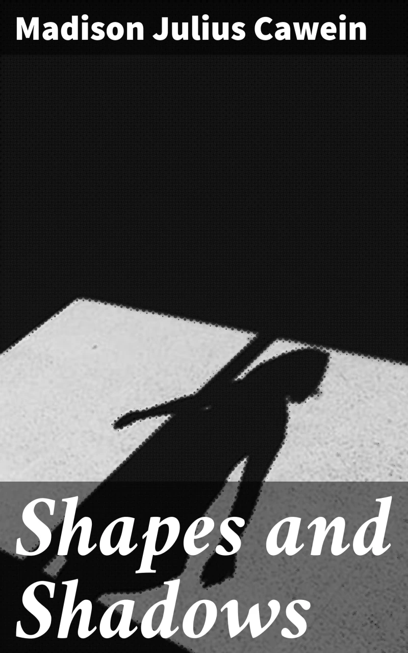 Portada: Shapes and Shadows