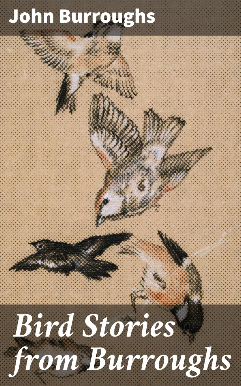 Portada: Bird Stories from Burroughs