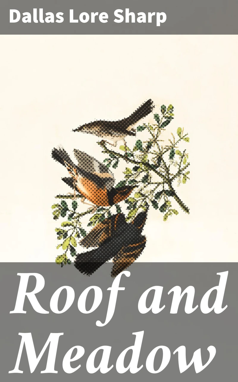 Portada: Roof and Meadow