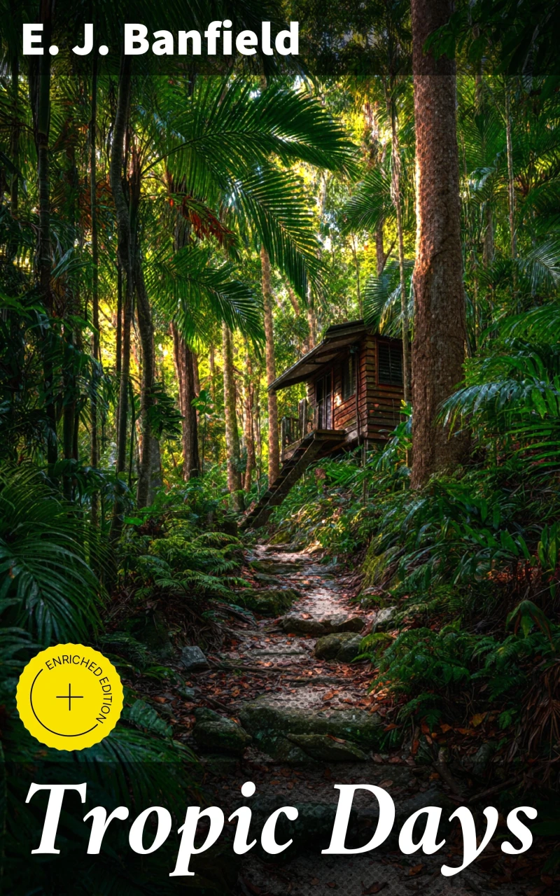 Portada: Tropic Days