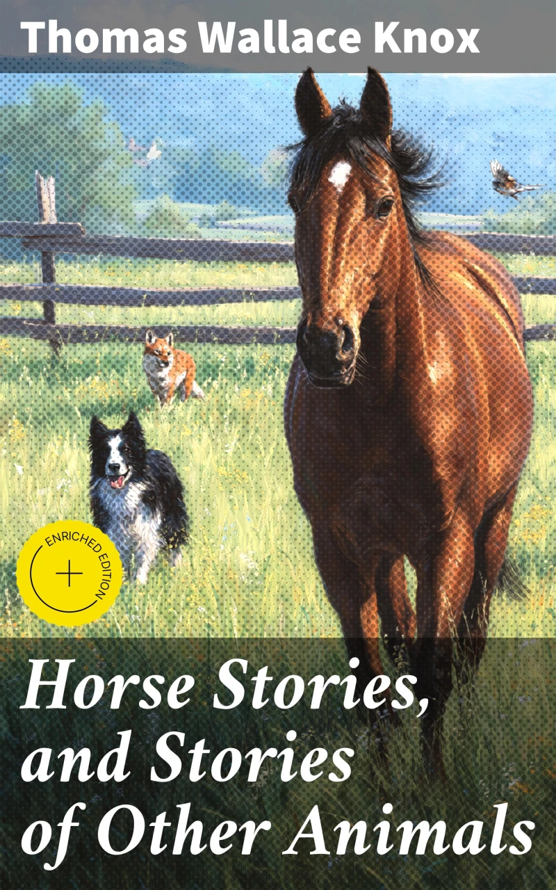 Portada: Horse Stories, and Stories of Other Animals