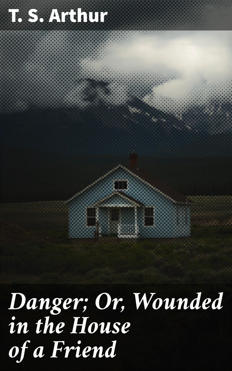 Portada: Danger; Or, Wounded in the House of a Friend