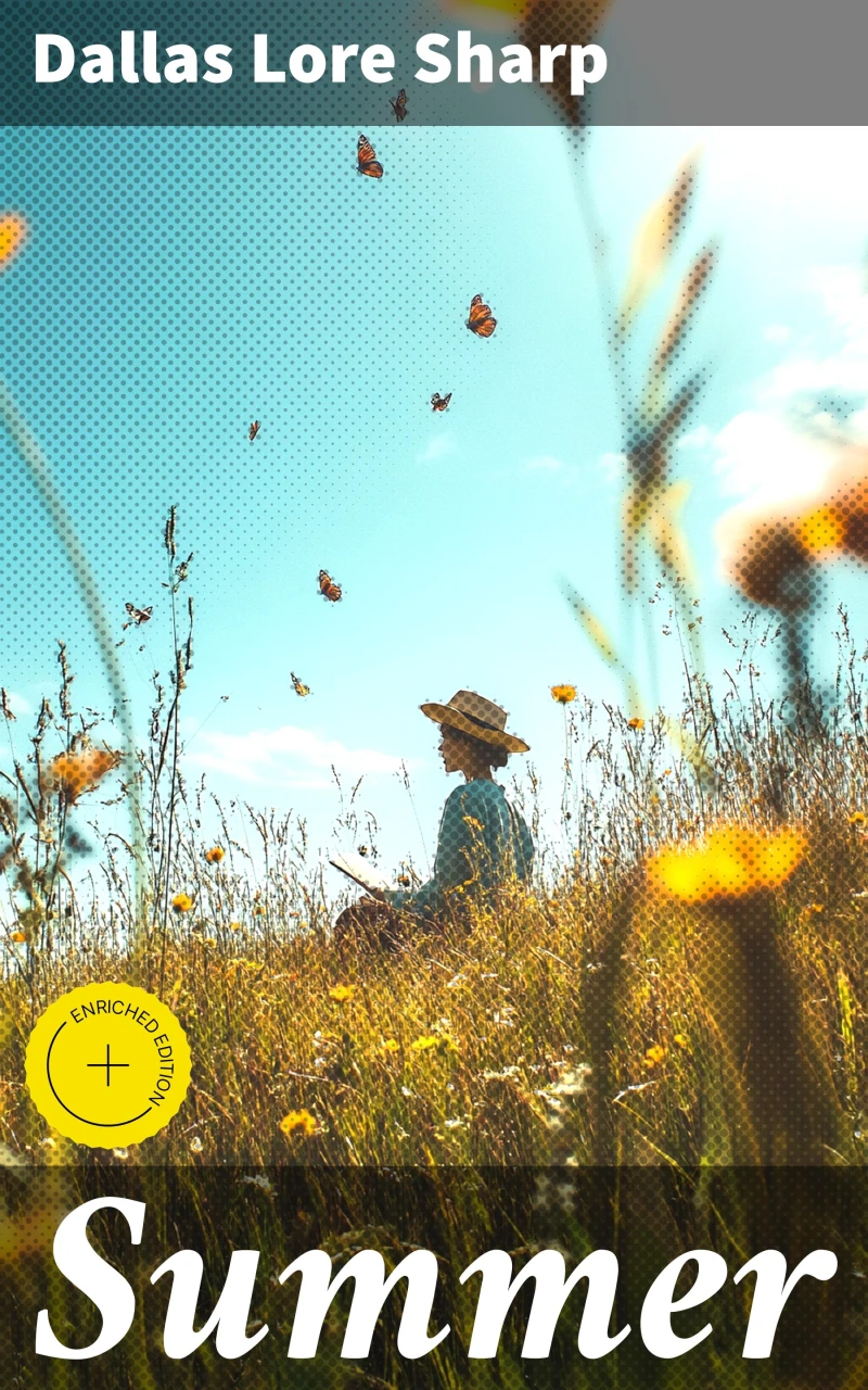Portada: Summer