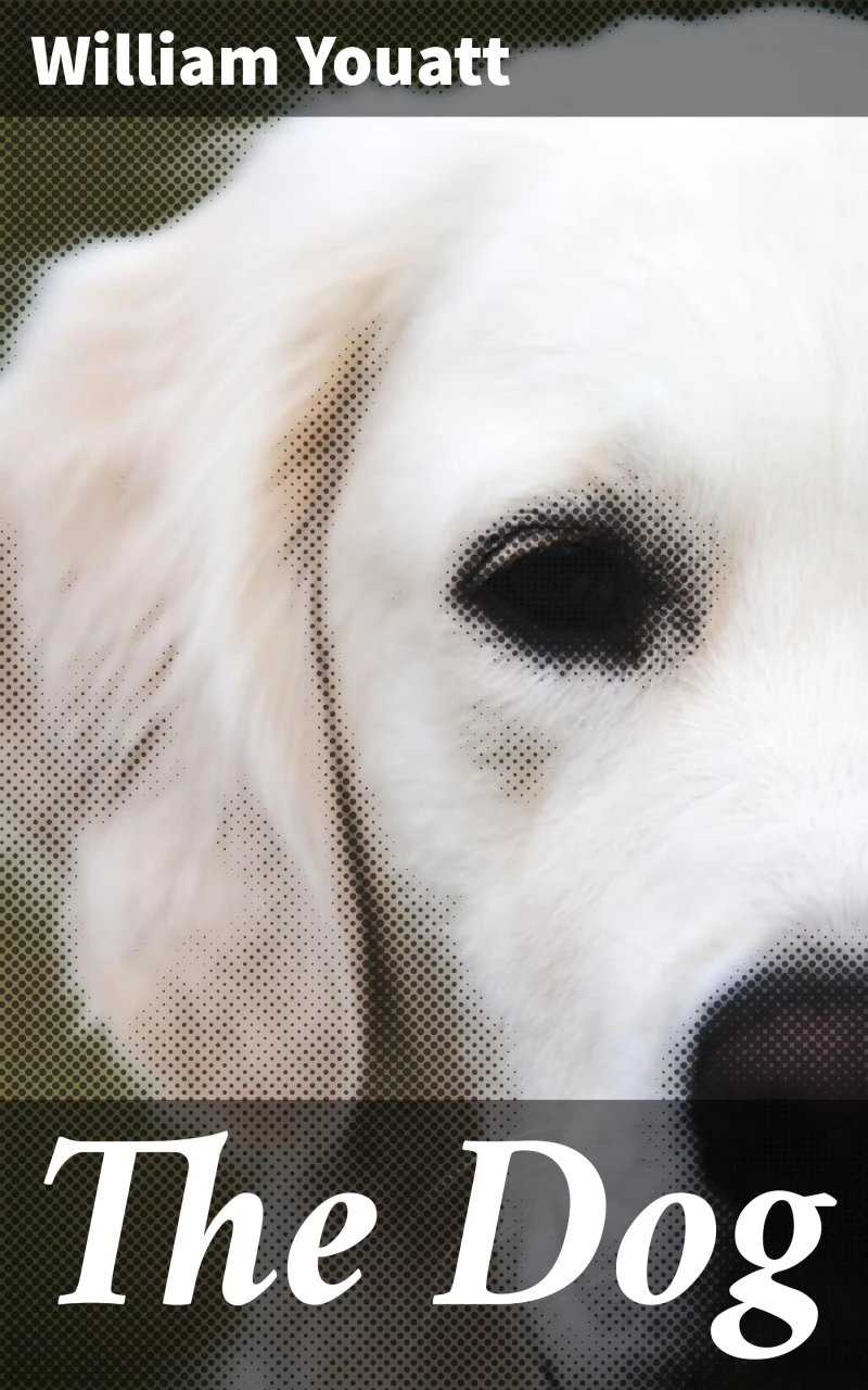 Portada: The Dog
