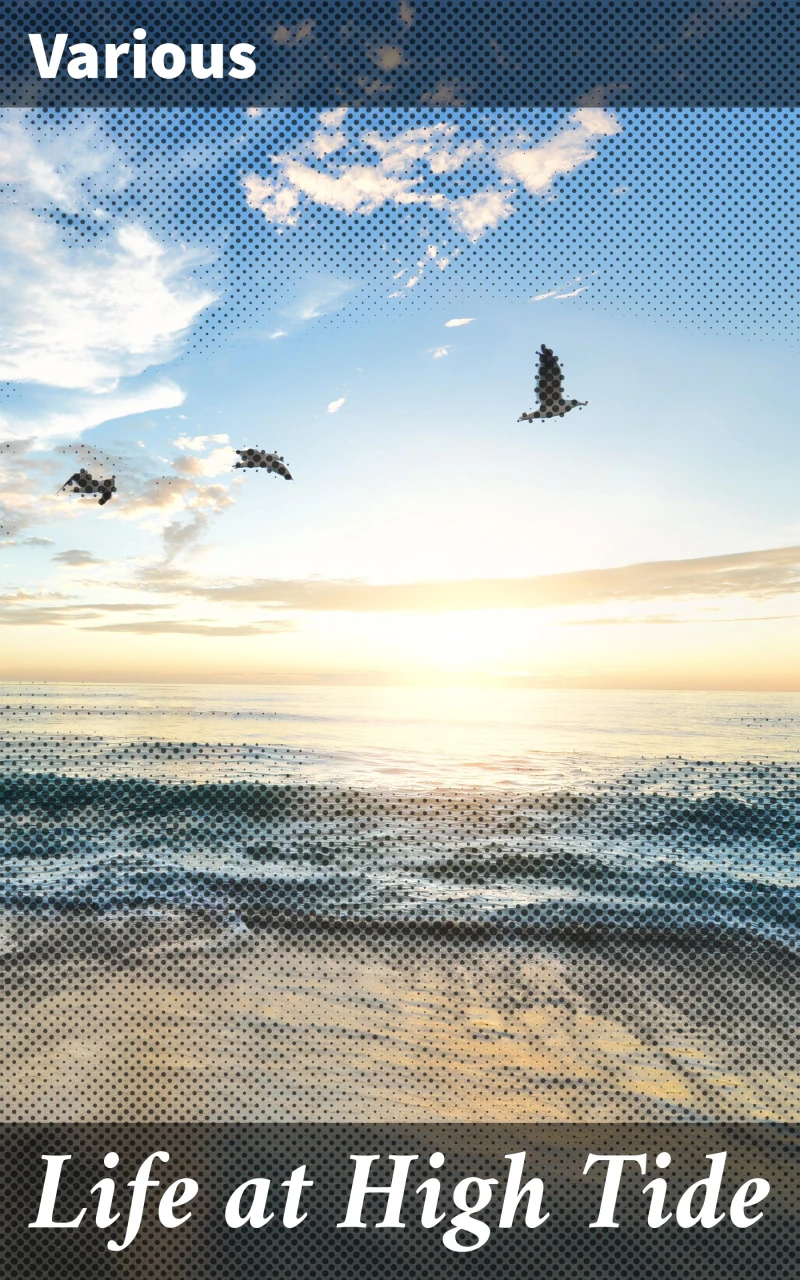Portada: Life at High Tide