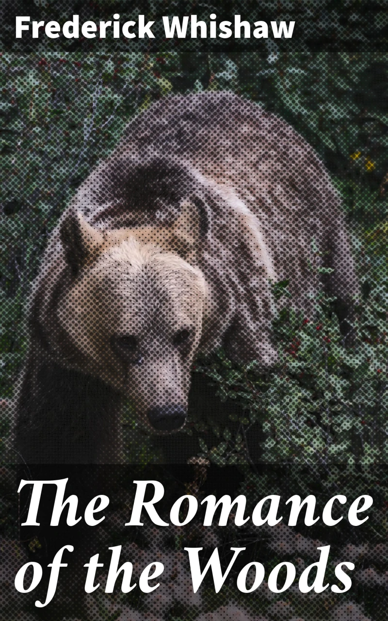 Portada: The Romance of the Woods