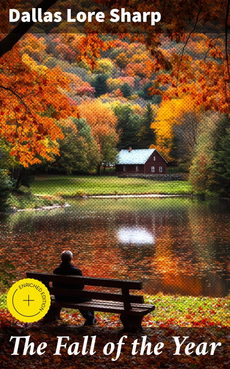 Portada: The Fall of the Year