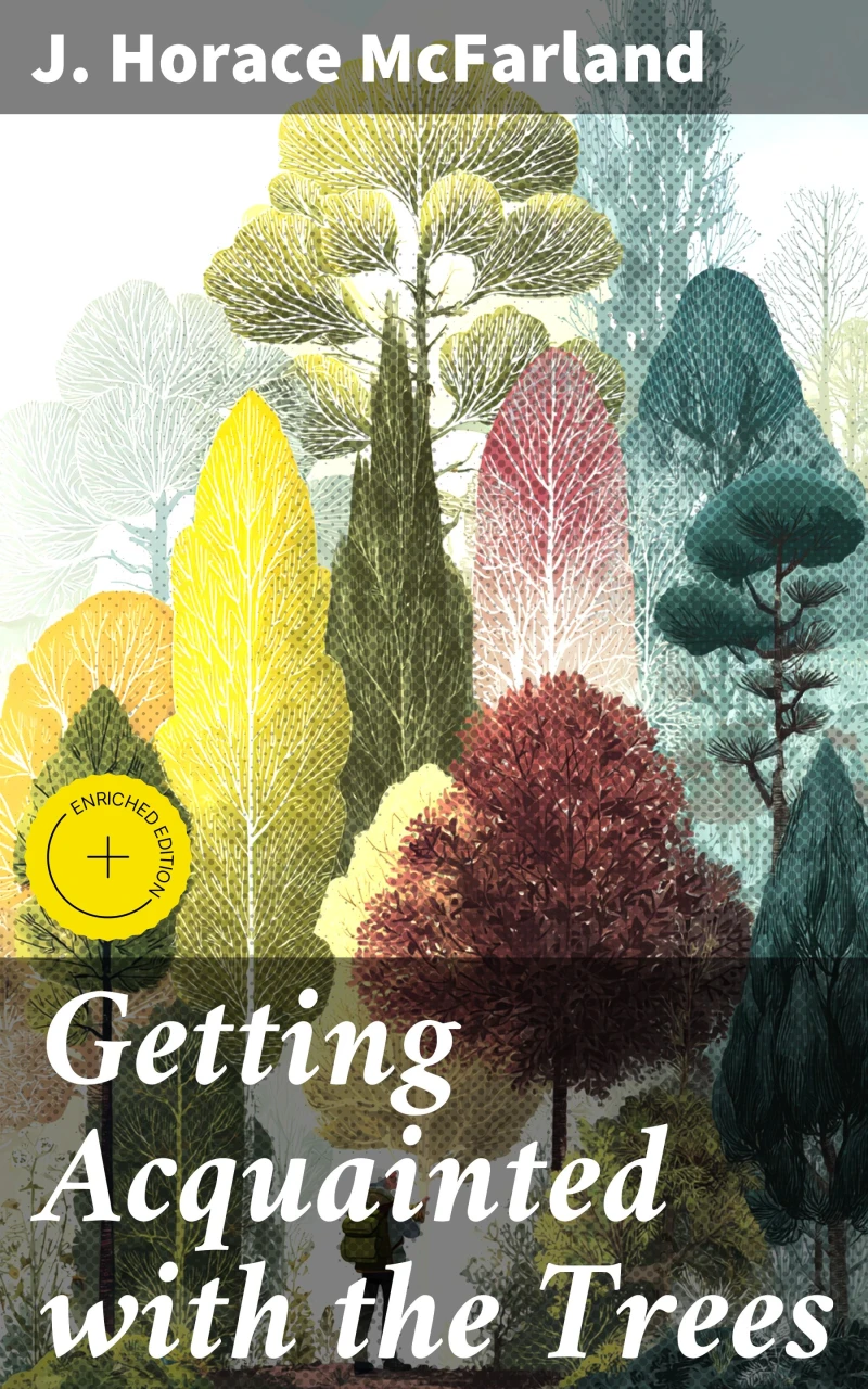 Portada: Getting Acquainted with the Trees