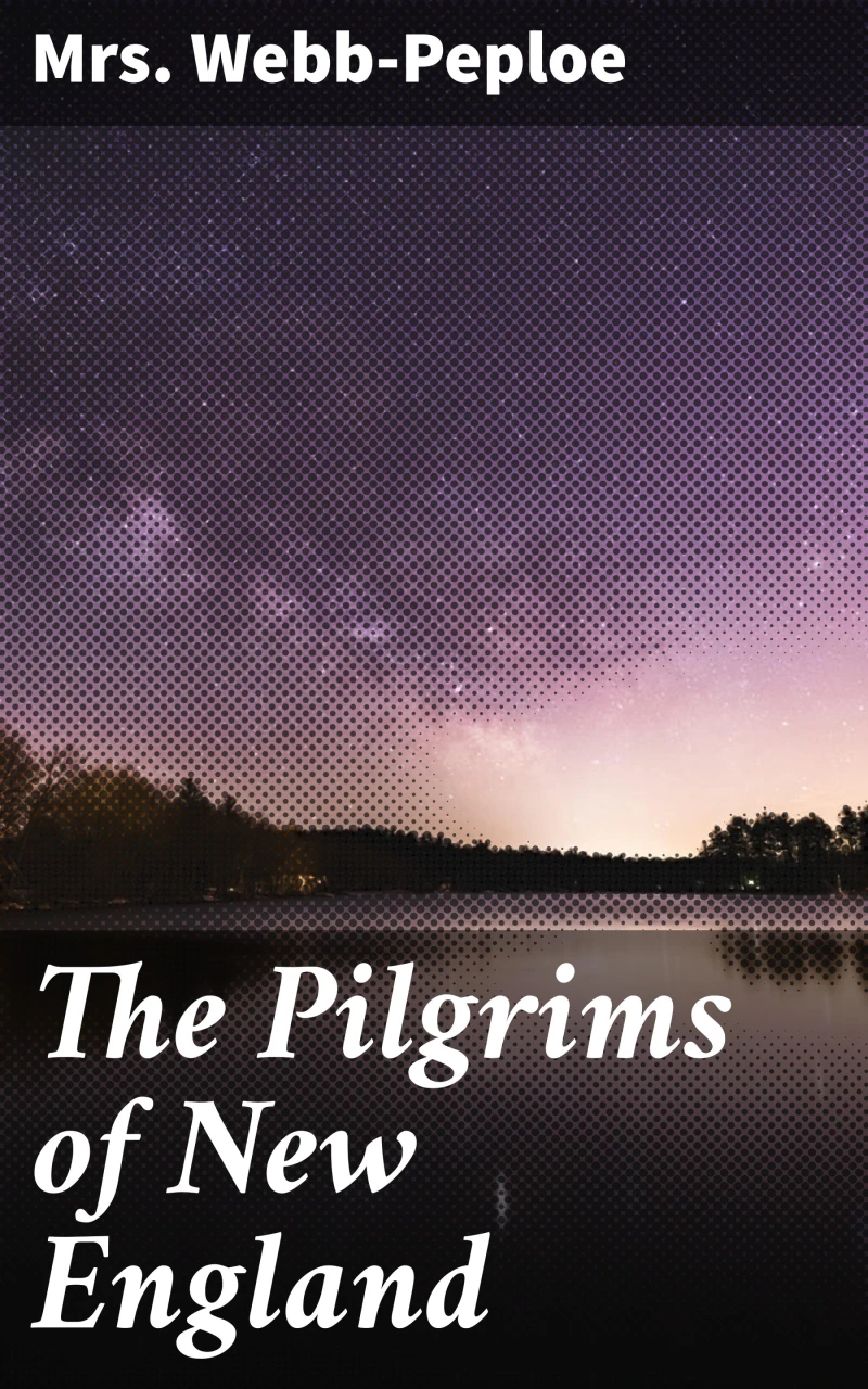 Portada: The Pilgrims of New England