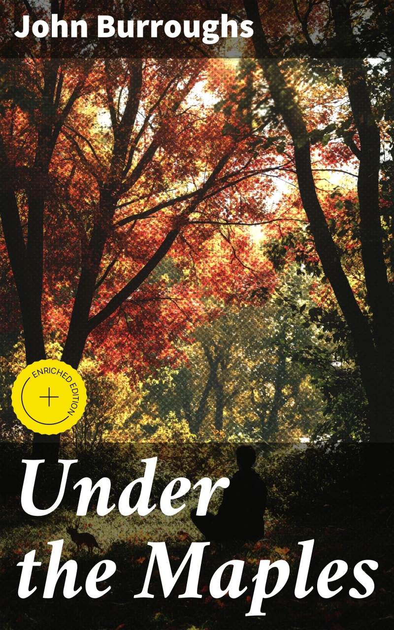 Portada: Under the Maples