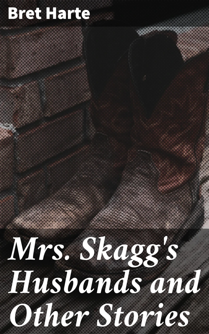 Portada: Mrs. Skagg's Husbands and Other Stories