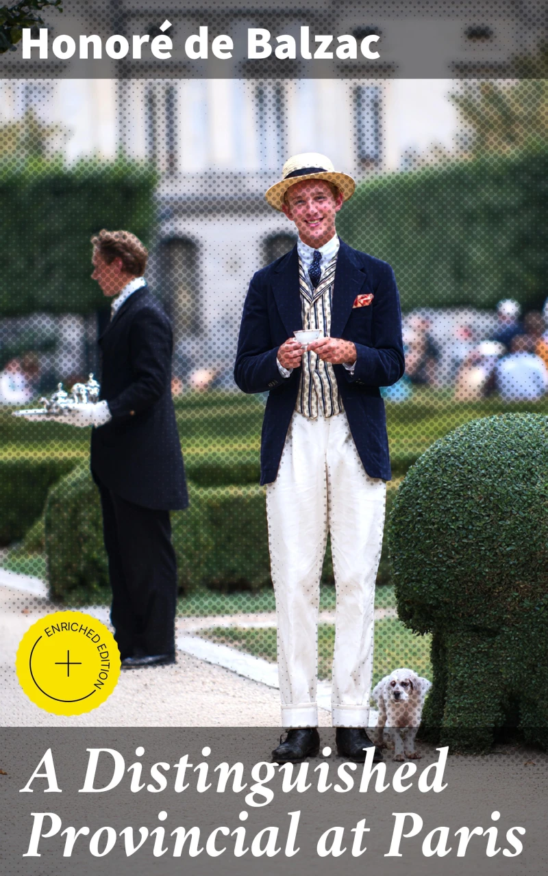 Portada: A Distinguished Provincial at Paris