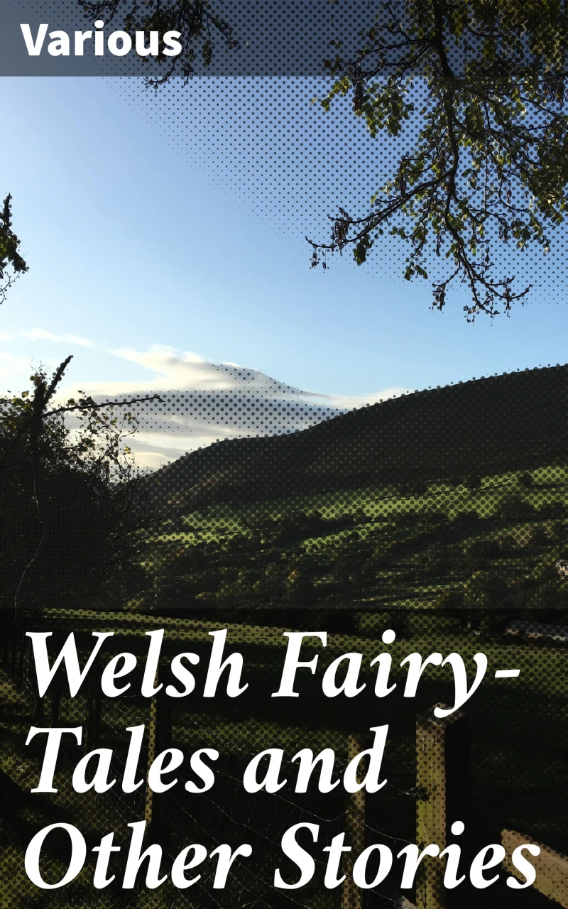 Portada: Welsh Fairy-Tales and Other Stories
