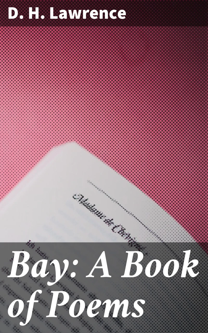 Portada: Bay: A Book of Poems