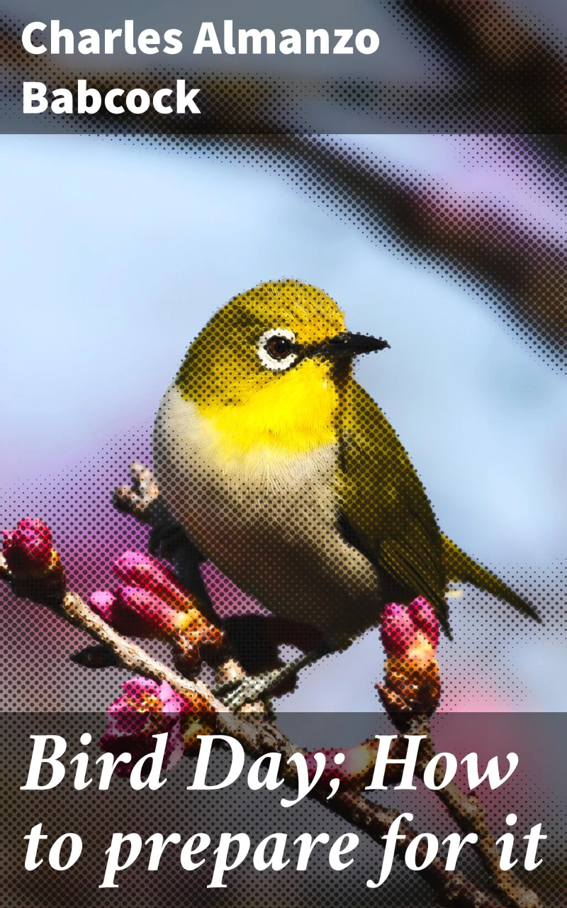 Portada: Bird Day; How to prepare for it