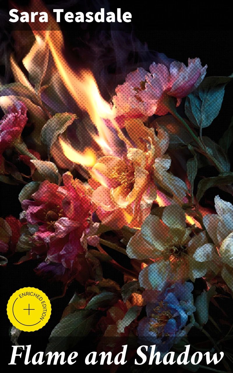 Portada: Flame and Shadow