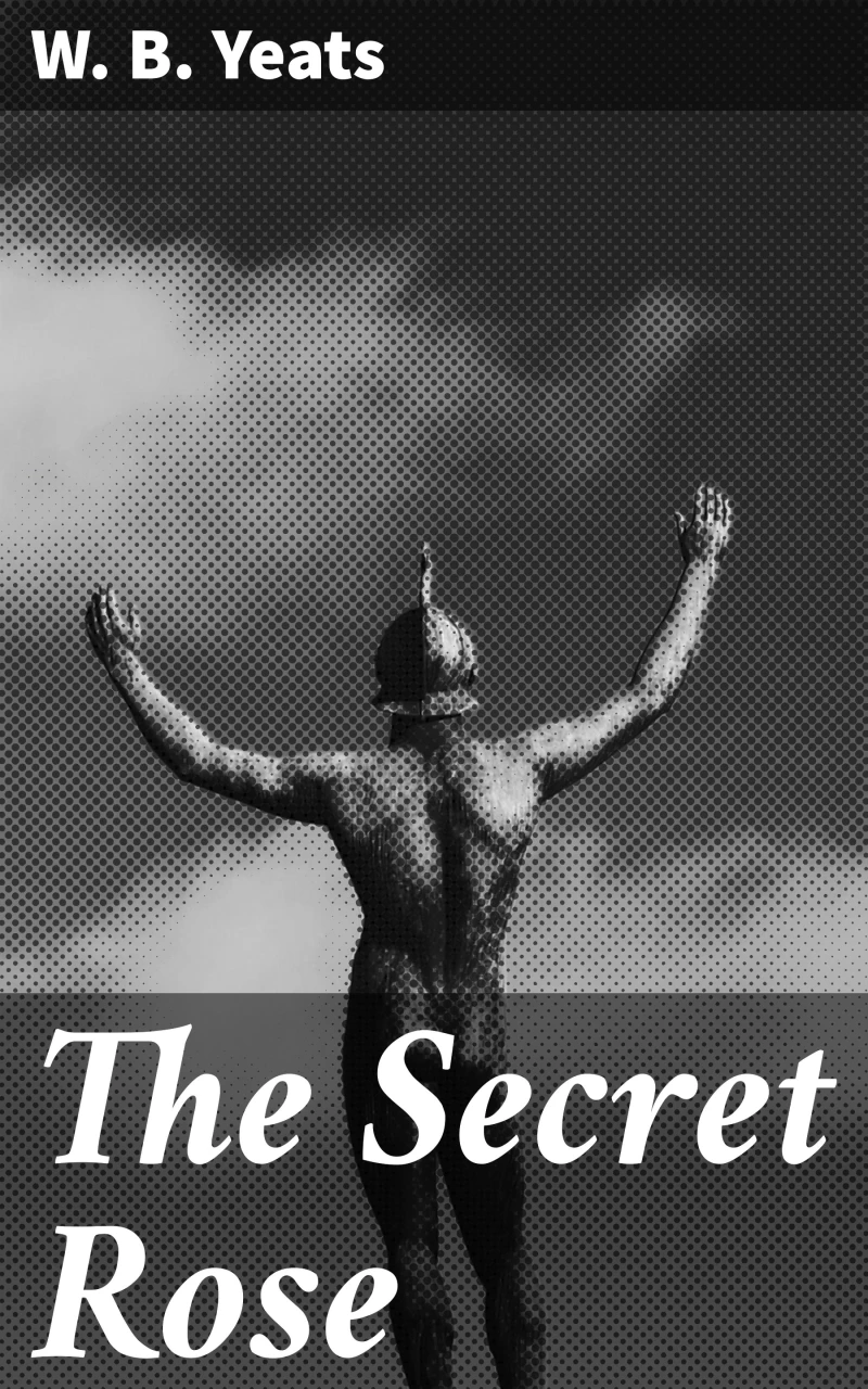 Portada: The Secret Rose