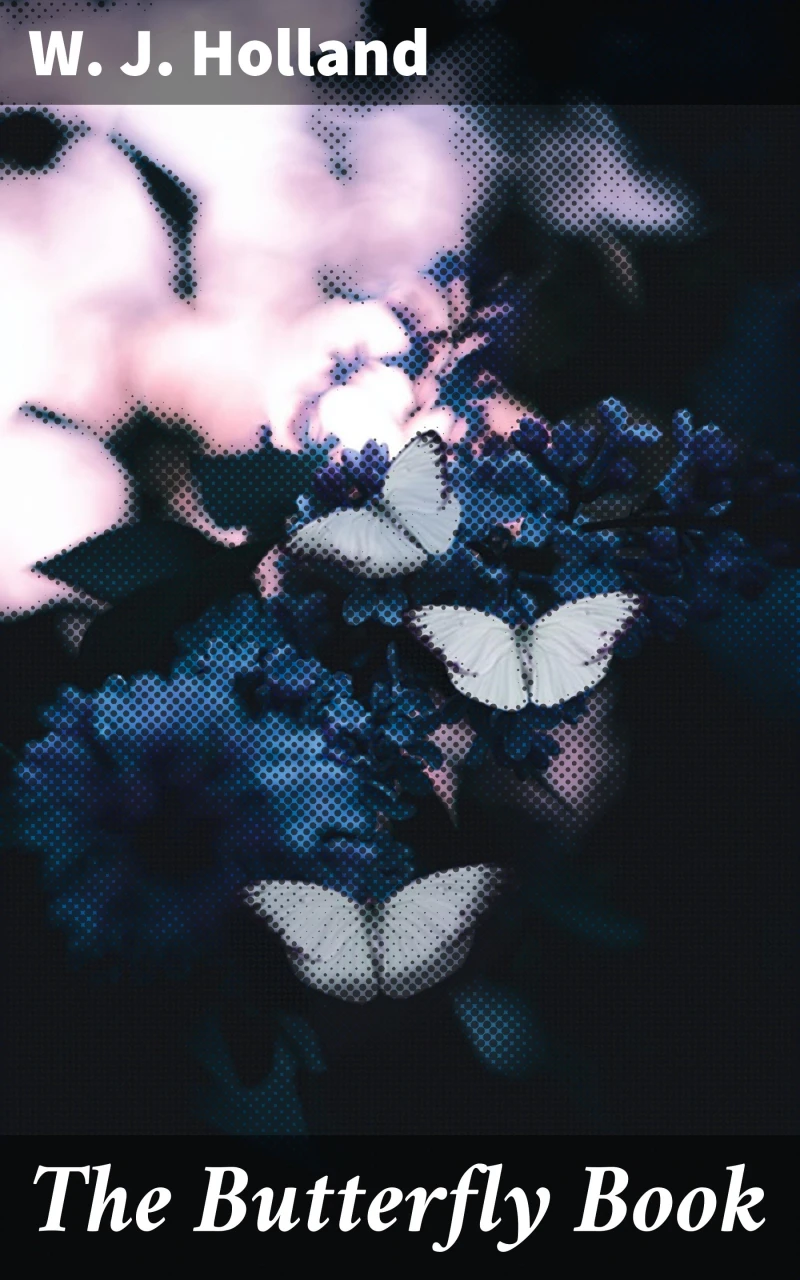 Portada: The Butterfly Book