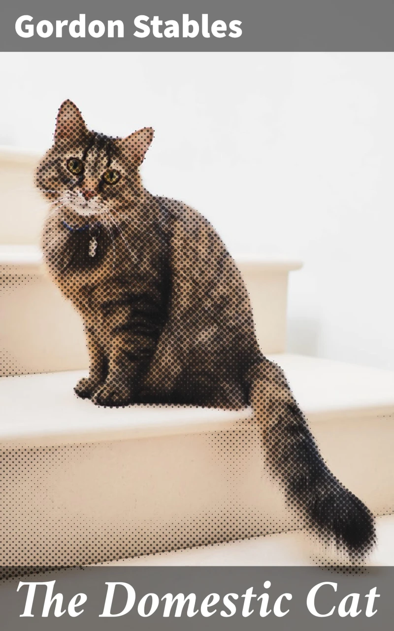 Portada: The Domestic Cat