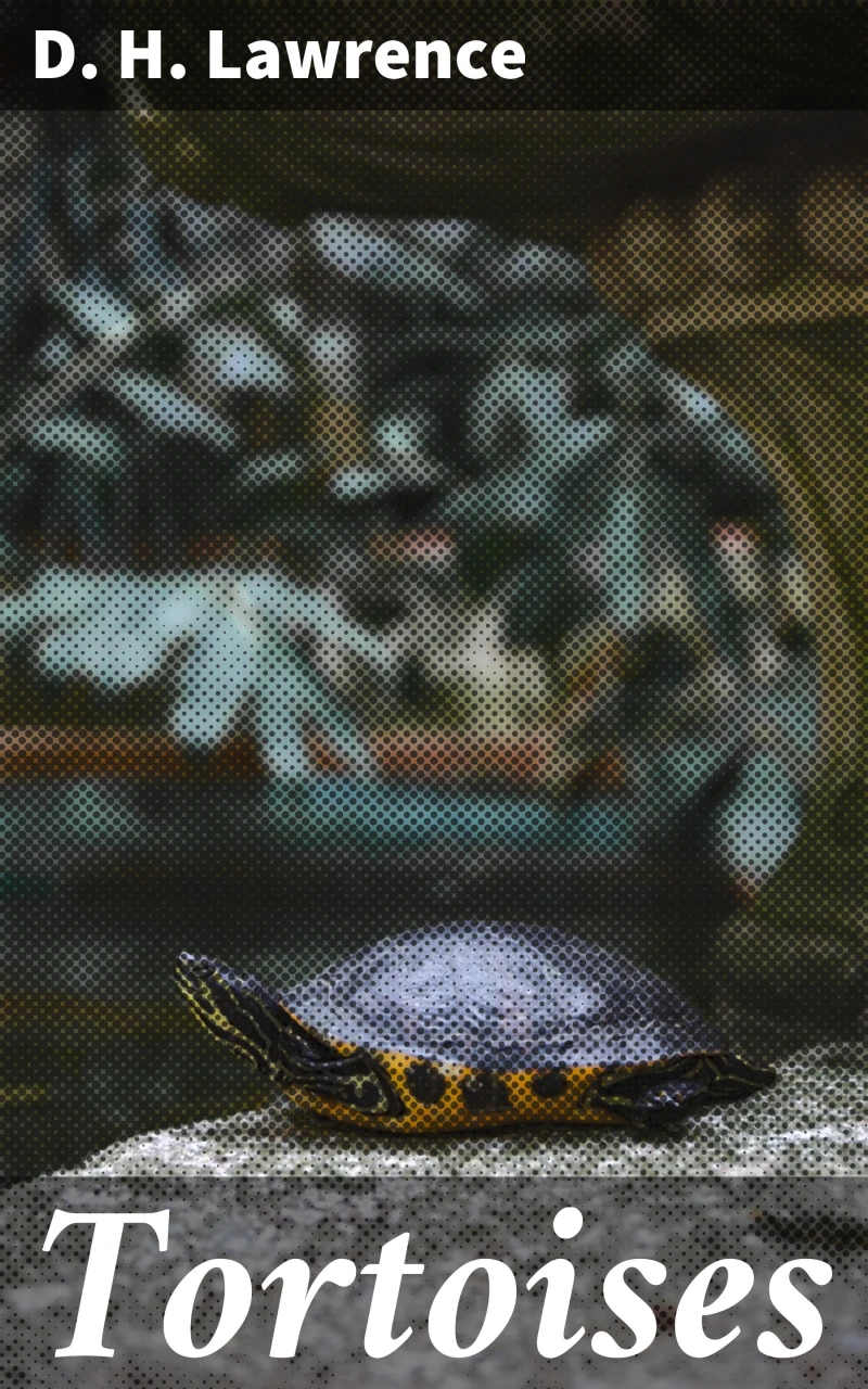 Portada: Tortoises