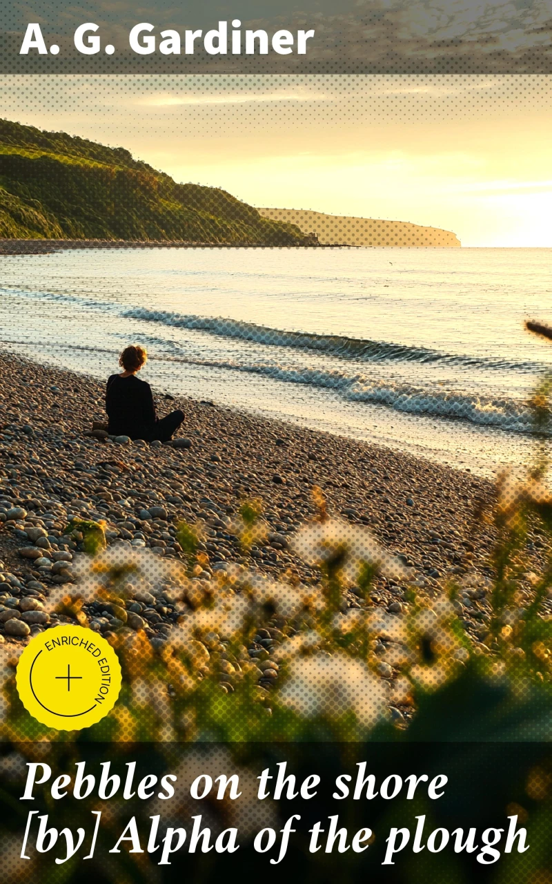 Portada: Pebbles on the shore [by] Alpha of the plough