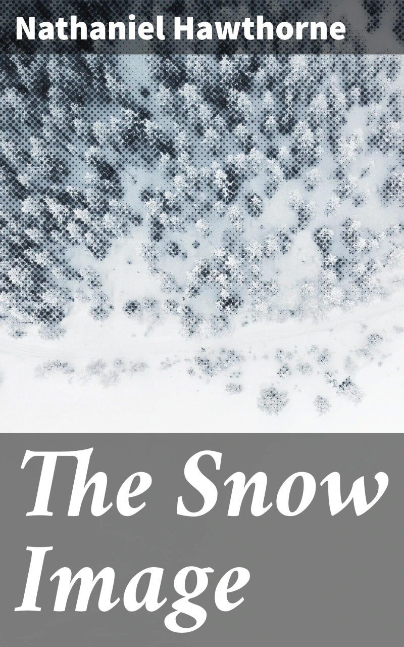 Portada: The Snow Image