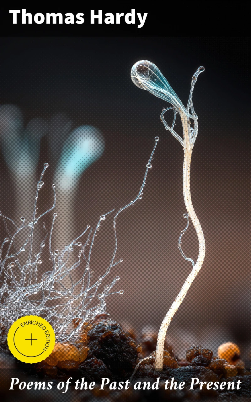 Portada: Poems of the Past and the Present