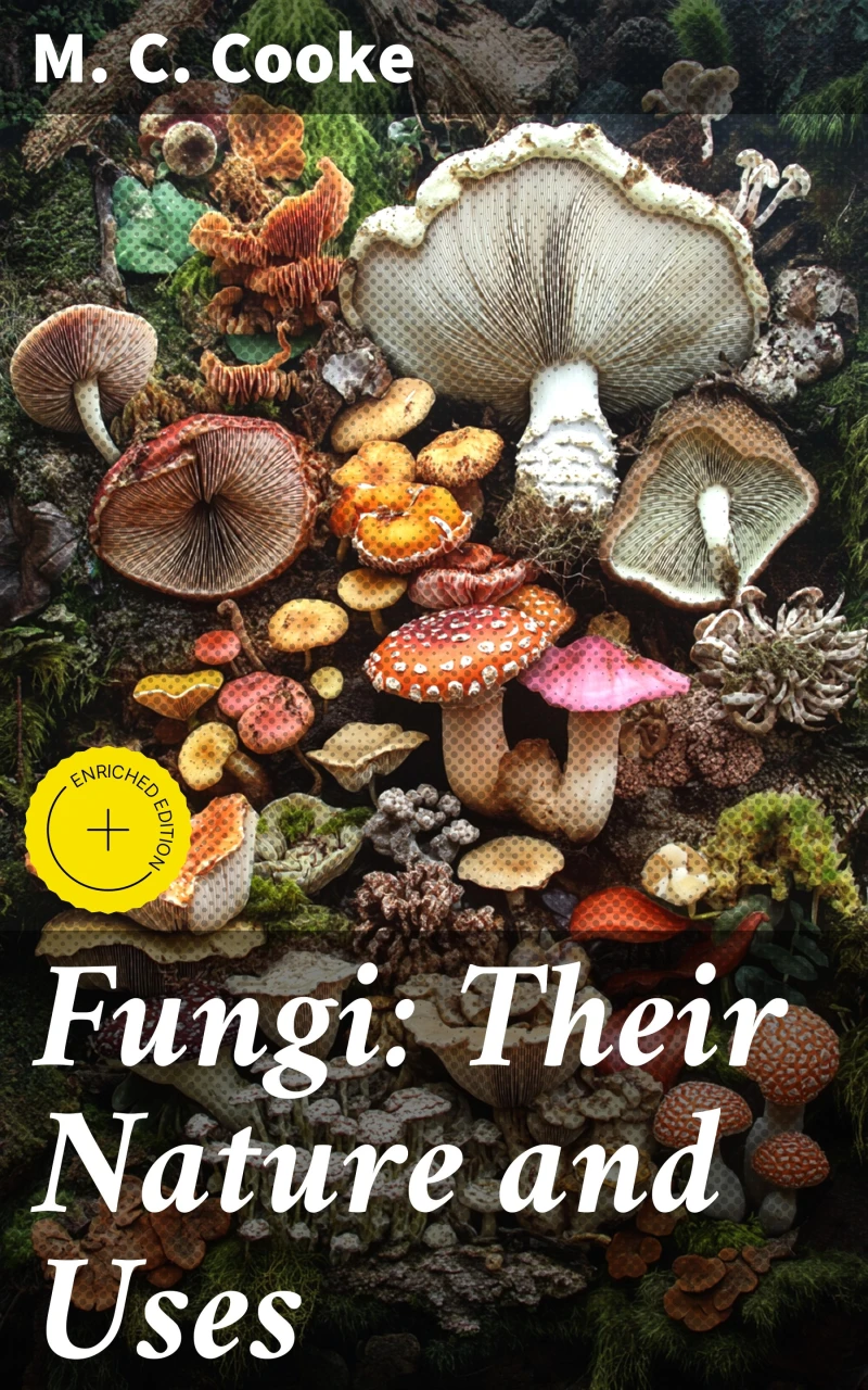 Portada: Fungi: Their Nature and Uses