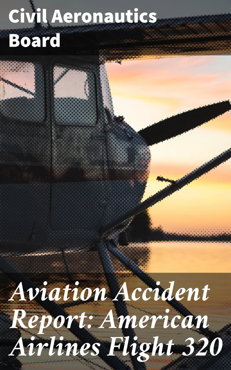 Portada: Aviation Accident Report: American Airlines Flight 320