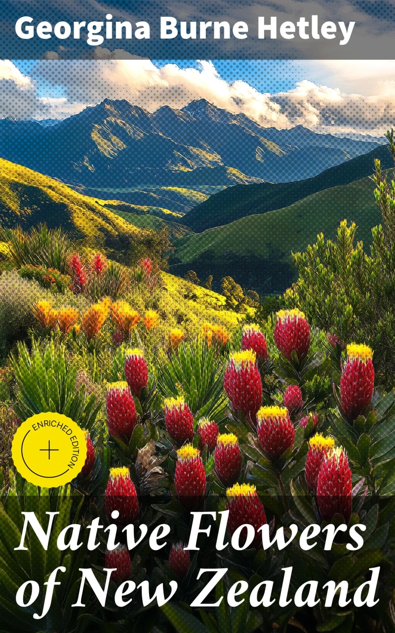 Portada: Native Flowers of New Zealand