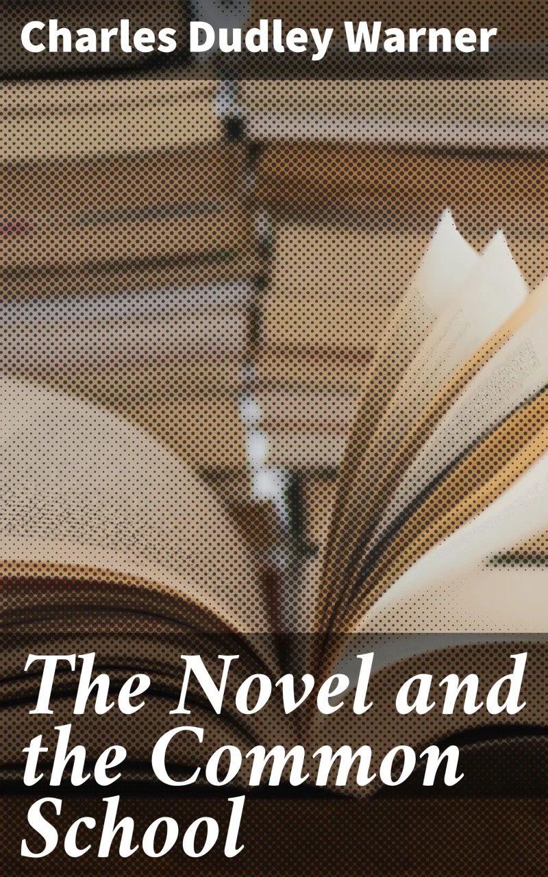 Portada: The Novel and the Common School