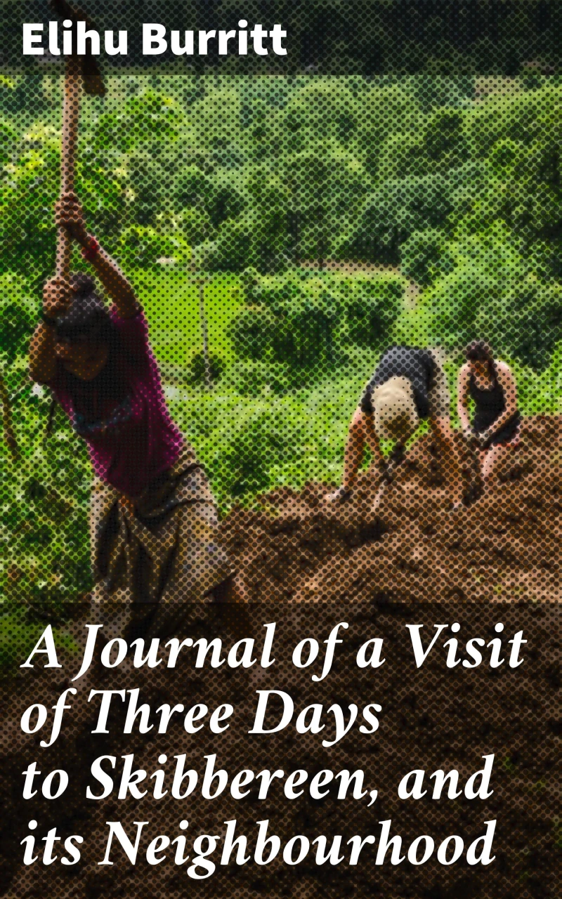 Portada: A Journal of a Visit of Three Days to Skibbereen, and its Neighbourhood