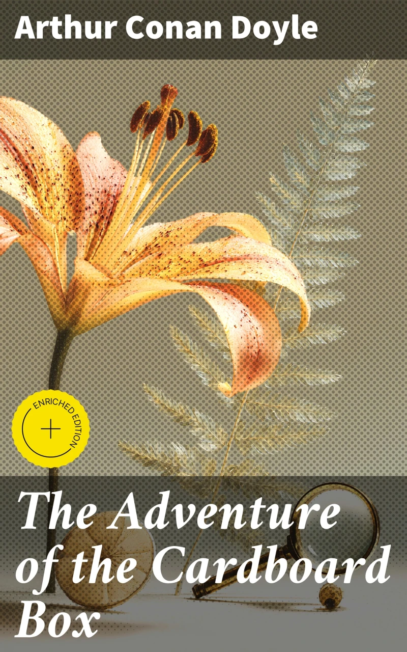 Portada: The Adventure of the Cardboard Box
