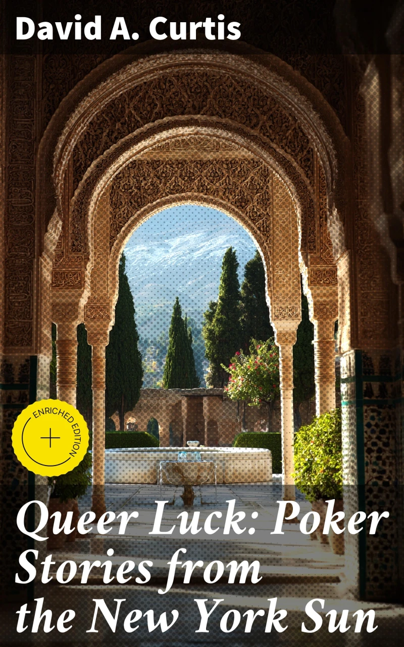 Portada: Queer Luck: Poker Stories from the New York Sun