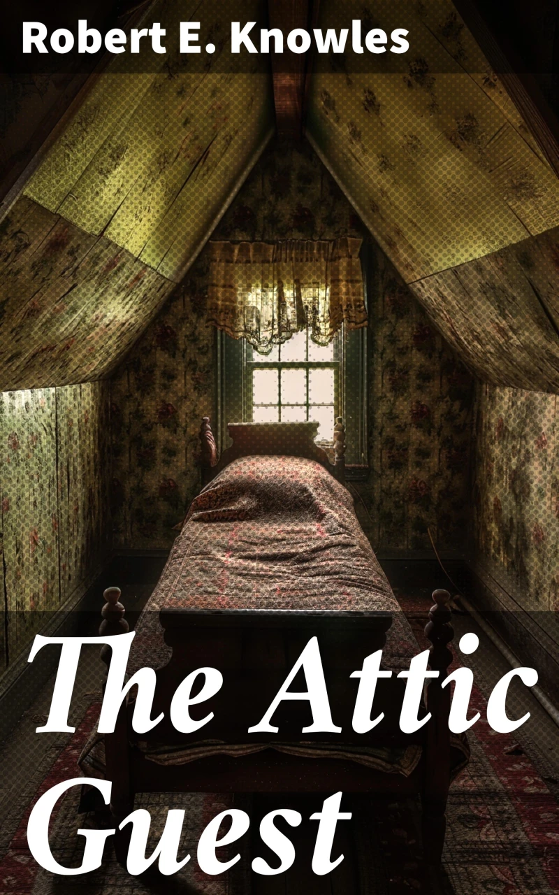 Portada: The Attic Guest