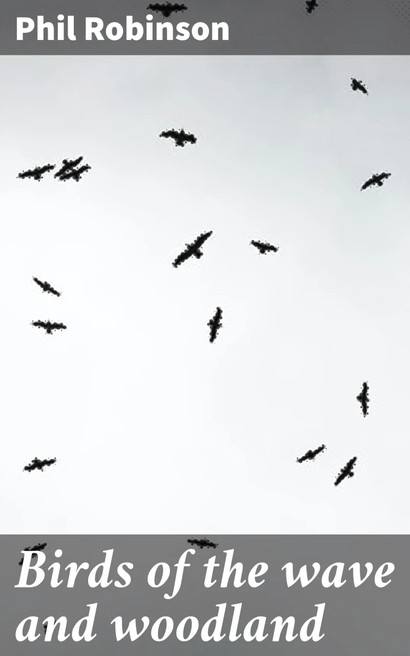 Portada: Birds of the wave and woodland