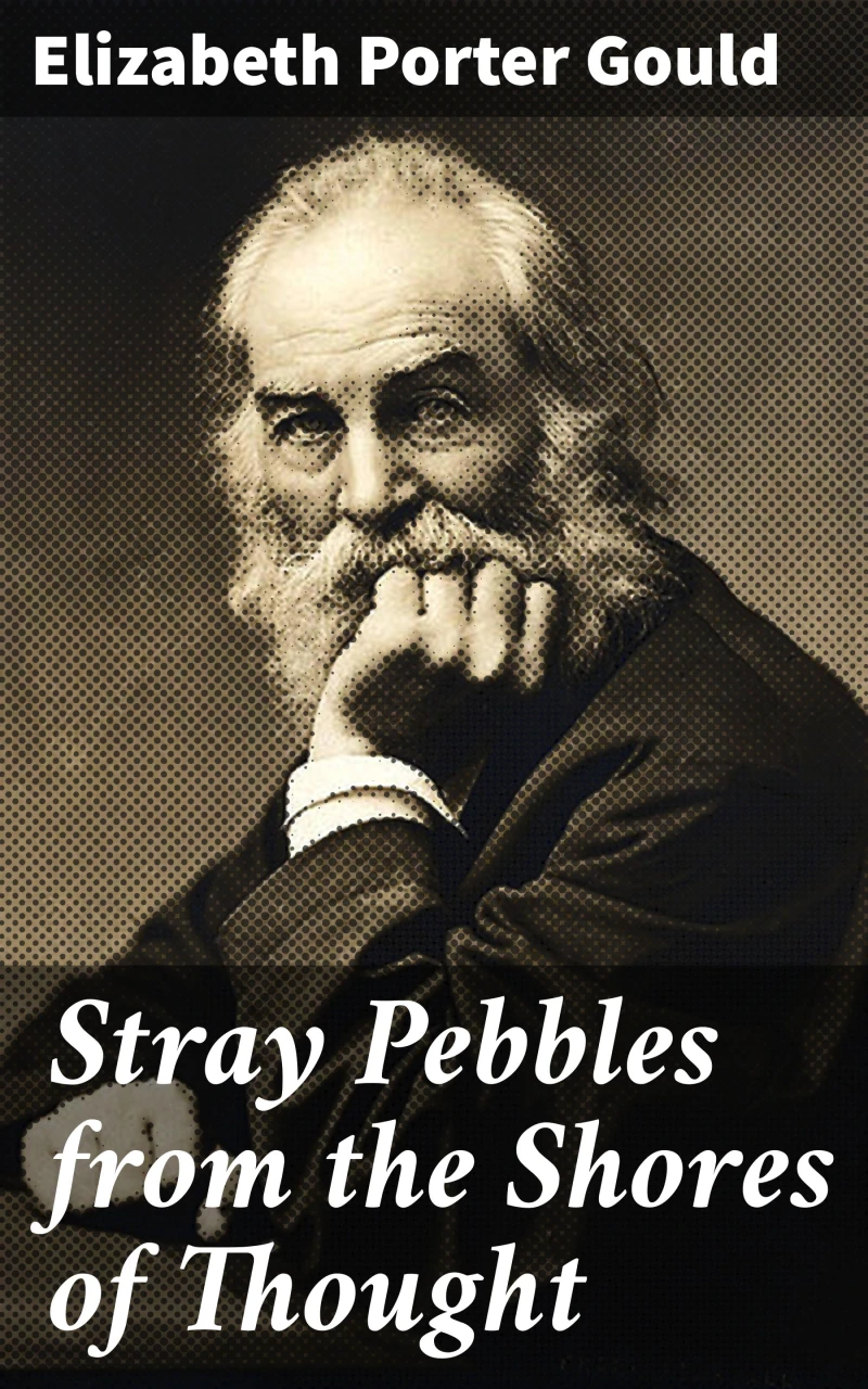 Portada: Stray Pebbles from the Shores of Thought