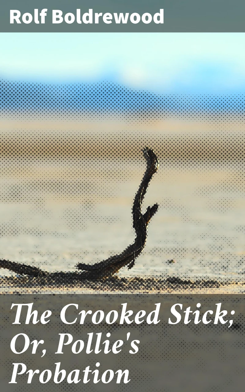 Portada: The Crooked Stick; Or, Pollie's Probation
